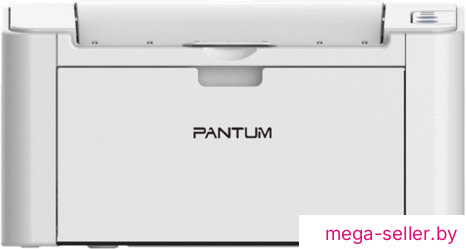 Принтер Pantum P2200