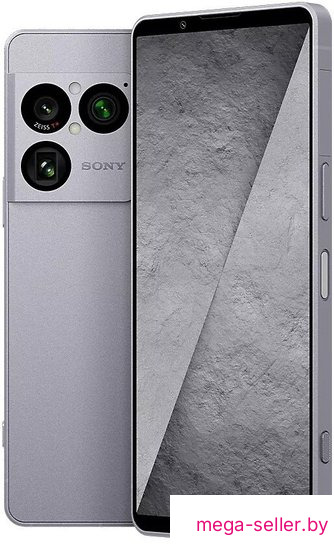 Телефон Sony Xperia 1 VIII XQ-GE74 12GB/512GB (иолитовый серебристый)