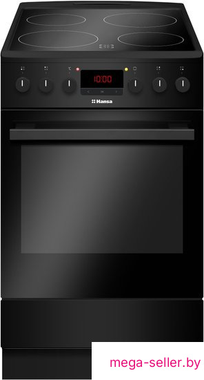 Кухонная плита Hansa FCCM58209H