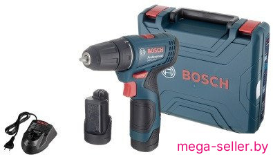 Дрель-шуруповерт Bosch GSR 120-LI Professional 06019G8020 (с 2-мя АКБ, кейс)