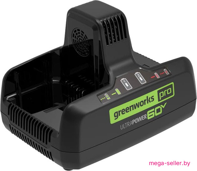 Зарядное устройство Greenworks G60DC10 2954407