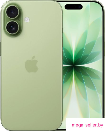 Телефон Apple iPhone 17 Dual SIM 256GB (зеленый)
