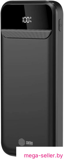 Внешний аккумулятор CACTUS CS-PBFSCA-10000 10000mAh (черный)