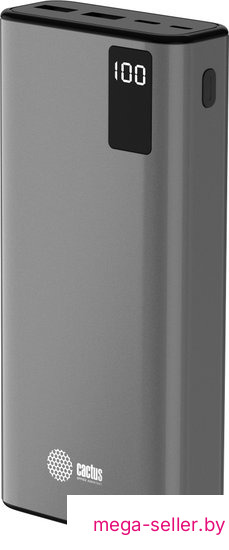 Внешний аккумулятор CACTUS CS-PBFSFA-20000 20000mAh (серый)