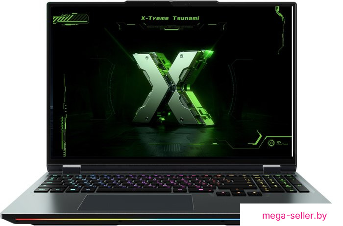 Игровой ноутбук Maibenben X-Treme Tsunami X16E X16E-R99558NQSHBRE0